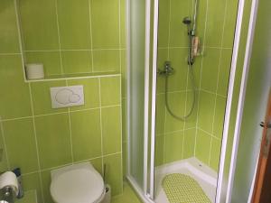 奥斯特鲁兹纳Chalupa Continental的绿色瓷砖浴室设有卫生间和淋浴。