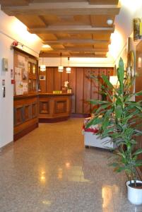 萨伦蒂诺Hotel Alpenblick的中间有一个盆栽的医院大厅