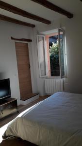 安锡L'appartement d'Anna的一间卧室设有一张床、一个窗口和一台电视