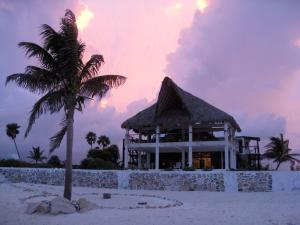 莫雷洛斯港兰克萨科尔酒店的海滩上的一座棕榈树建筑