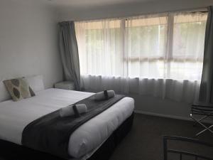 瓦纳卡航道汽车旅馆&公寓的一间卧室设有一张大床和一个窗户。