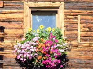 维尔芬翁霍克豪斯尔公寓的木墙上的窗户,带花盒