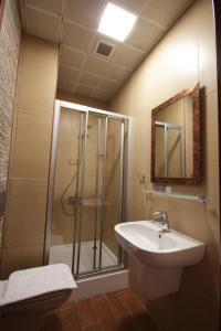 科尼亚科尼亚戴尔维士酒店的带淋浴和盥洗盆的浴室