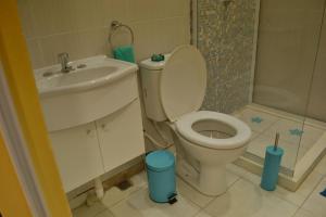 福尔摩沙Departamento Temporario FORMOSA的浴室配有卫生间、盥洗盆和淋浴。