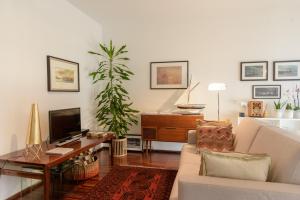 波尔图Porto D´Ouro Apartments的带沙发和电视的客厅