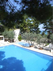 罗迪-加尔加尼科里帕维拉焦酒店的一座绿树成荫的蓝色游泳池