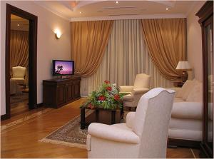 巴库AYF宫殿酒店的客厅配有两把椅子和电视