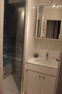 基伯龙Nicolas Lambert - Appartement vue mer, prêt de velos,WIFI的带淋浴、盥洗盆和镜子的浴室