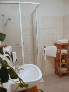 Ferienwohnung in der Altstadt von Erfurt的一间浴室