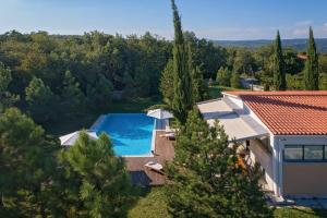 拉宾Villa Breg的享有带游泳池的房屋的空中景致