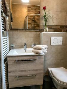 蒙特勒Les Amandiers的一间带水槽和卫生间的浴室
