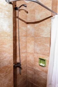 圣卡洛斯-德巴里洛切Trip Bariloche Select的带淋浴和浴帘的浴室