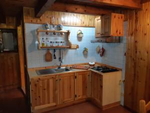 拉马格德莱伊内Casetta di montagna Viuex的厨房配有木制橱柜、水槽和炉灶。