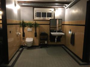 韦斯普洪思维克乡村民宿的一间带卫生间和水槽的浴室