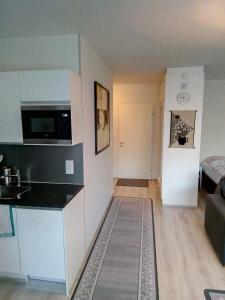 许温凯Parantolankatu modern one room apartment的小厨房和带沙发的客厅