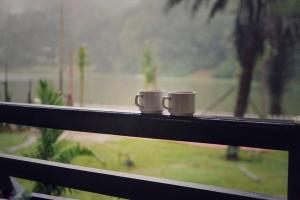 伯杰默里Hotel Khalsa -Lake View的窗台上两个咖啡杯
