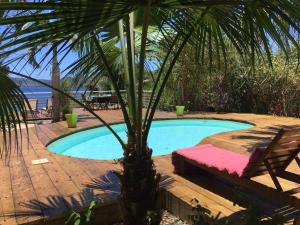Bandrélé猴面包树住宿加早餐旅馆的一个带棕榈树和长凳的游泳池