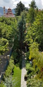 戈里察特米斯托克里别墅的享有花园的顶部景致,花园内种有树木和灌木丛