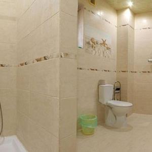 喀尔巴阡КОМФОРТ的浴室配有白色卫生间和淋浴。