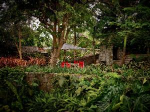 尼维斯Golden Rock Nevis的花园里的红色长凳和遮阳伞