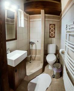埃拉蒂特里卡隆特奥多罗旅馆的一间带水槽和卫生间的小浴室