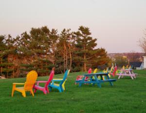 特鲁罗涌潮酒店 的坐在草丛中的一排五颜六色的椅子