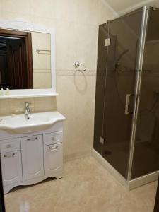 TarashchaPride的带淋浴、盥洗盆和镜子的浴室