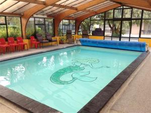 纳皮尔海洋世界汽车旅馆的游泳池,上面有蛇画