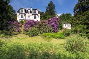 达农Abbots Brae Hotel的山坡上一座大房子,花紫色
