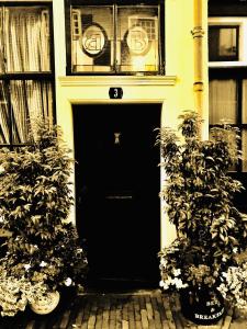 米德尔堡BIJZONDER OVERNACHTEN tZEEUWSE KLOPPERTJE的两棵植物的房子的黑色前门