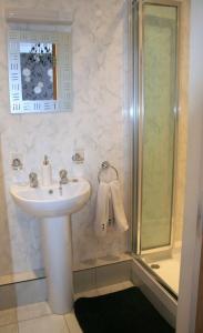库申多尔滨江住宿加早餐酒店的一间带水槽和淋浴的浴室
