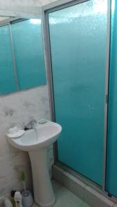 科金博cabañas sector peñuelas的一间带水槽和玻璃淋浴的浴室