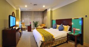 呼和浩特内蒙古维力斯大酒店的配有一张床和一台平面电视的酒店客房