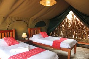 LoitanitKidepo Savannah Lodge by NATURE LODGES LTD的一间帐篷内带两张床的卧室