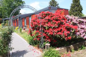 赫比斯特恩mein kleinHOTEL的一座花园,在一座建筑前种有红色花卉