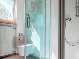 布格豪森萨尔斯加特恩酒店的浴室设有玻璃淋浴间和卫生间