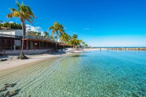 莱特鲁瓦西莱马提尼克白库酒店的棕榈树海滩和海洋