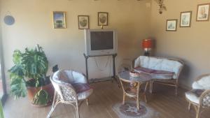 恩纳La collina delle ginestre的客厅配有椅子、电视和桌子