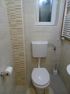 马里博尔Sobe-Apartmaji-Terapije的一间带卫生间、窗户和水槽的浴室