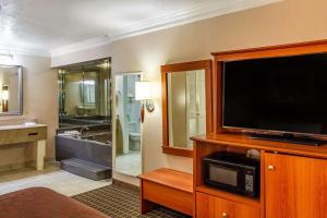 阿尔文阿尔文皇宫汽车旅馆的酒店客房设有电视和浴室。