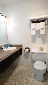 洛克威海滩银沙汽车旅馆的一间带卫生间和水槽的浴室