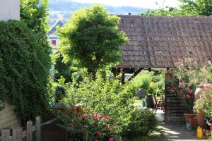 罗拉赫Casa Stetten的鲜花花园和屋顶房屋