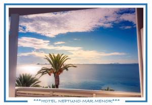 圣佩德罗-德尔皮纳塔尔海王星酒店的享有大海和棕榈树景致的窗户