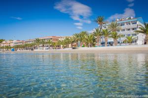 圣佩德罗-德尔皮纳塔尔海王星酒店的享有棕榈树海滩和建筑的景色