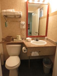 北温哥华北温哥华酒店的一间带卫生间、水槽和镜子的浴室