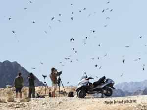 Beʼer OraThe Birdwatchers Nest的一群人站在沙漠中的摩托车周围