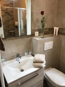 蒙特勒Les Amandiers的浴室设有水槽和玫瑰花花瓶