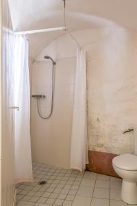 圣莱伊德苏La maison d'Angèle的带淋浴和卫生间的浴室