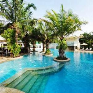 班加罗尔Palm Meadows Resort的度假村内一座种有棕榈树的大型游泳池