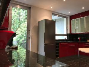 弗莱堡Ferienwohnung-Freiburg-Exklusiv的厨房配有红色橱柜和不锈钢冰箱